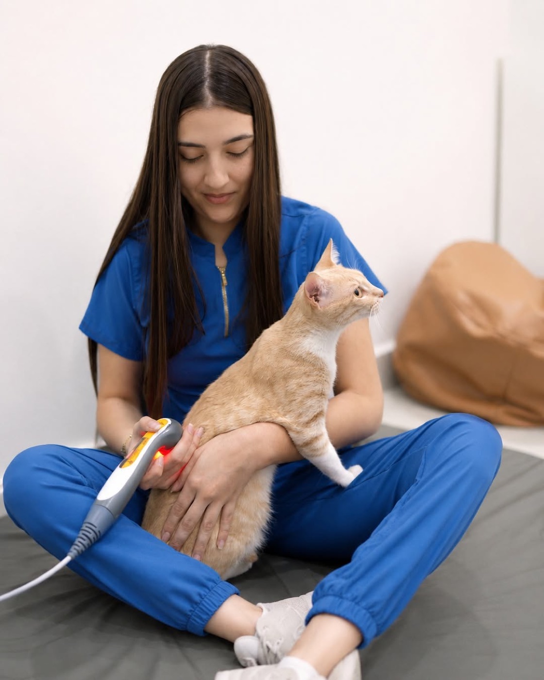 Terapeuta aplicando láser terapéutico a un gato